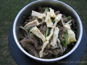 Beef Stir fry with Udon Noodles-Thermoserver