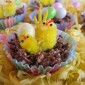 Domestic Diva - Chicks on a Muesli Bar Nest
